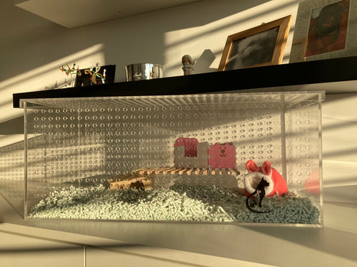 Křečkárium CRICETA